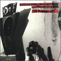the Flaming Lips